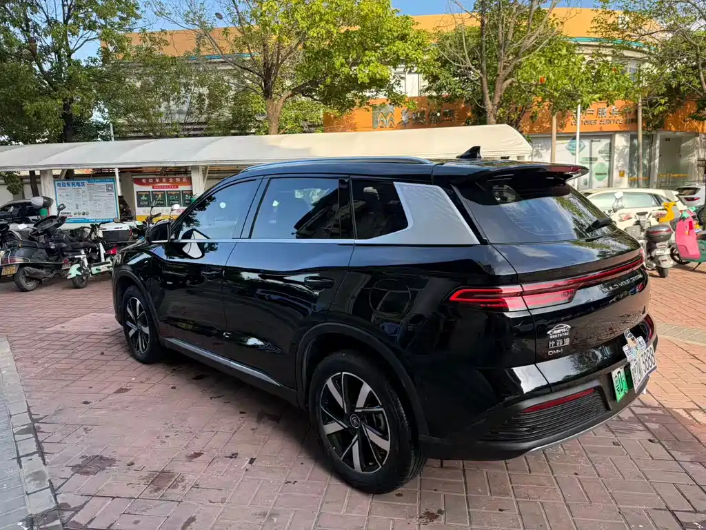 BYD Pro New Energy — фото 9