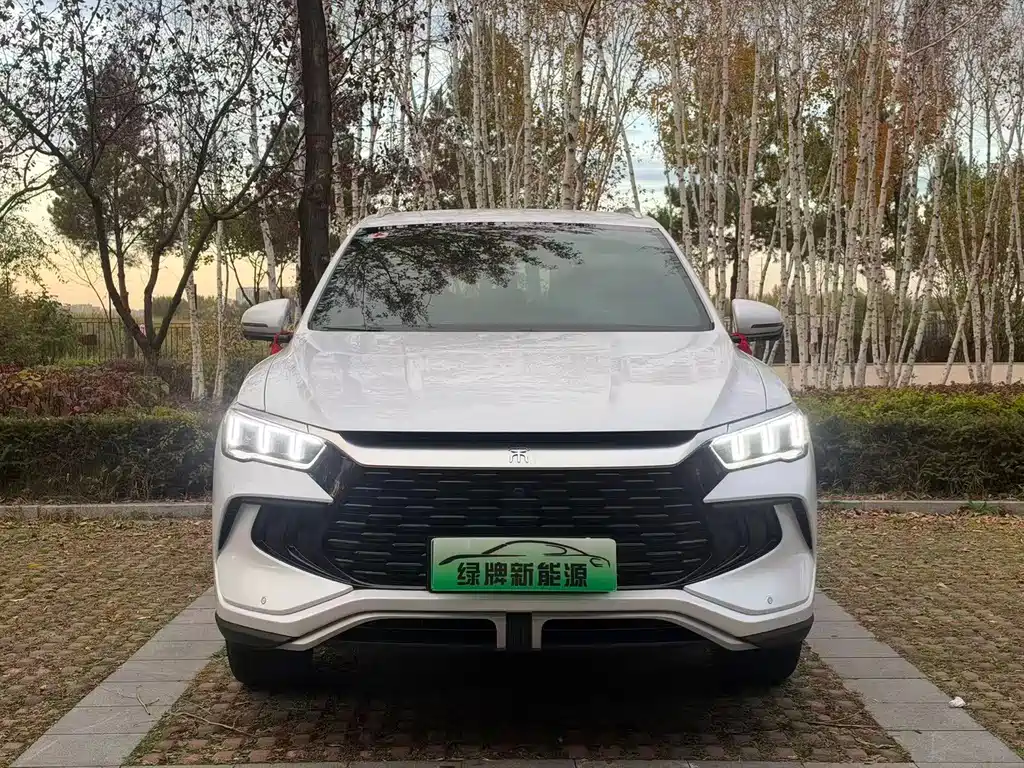 BYD Pro New Energy — фото 2