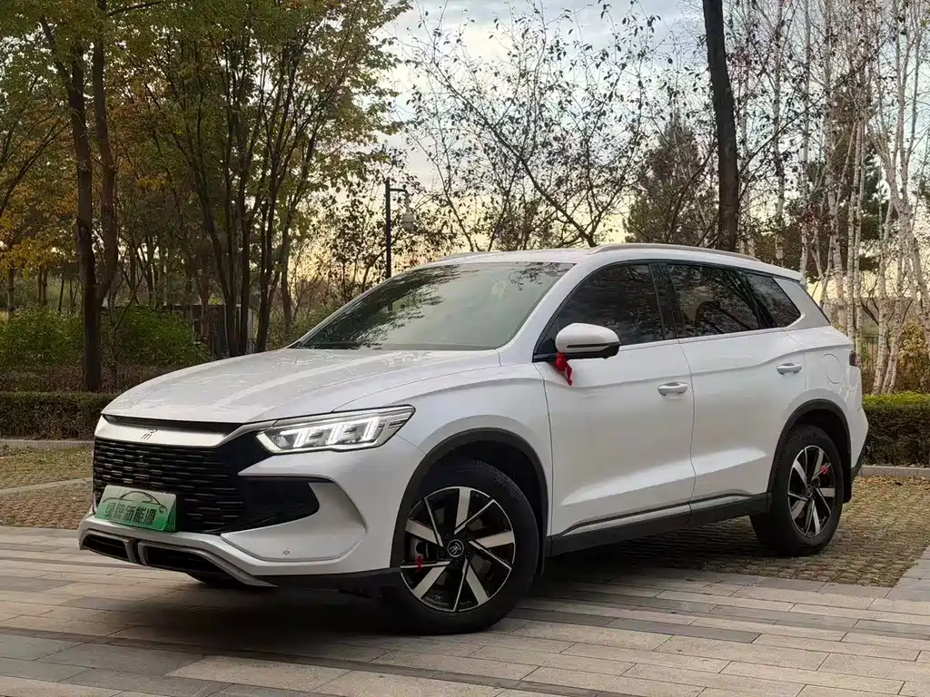 BYD Pro New Energy — фото 3