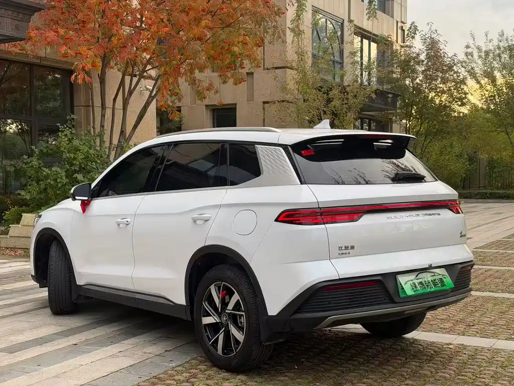 BYD Pro New Energy — фото 7