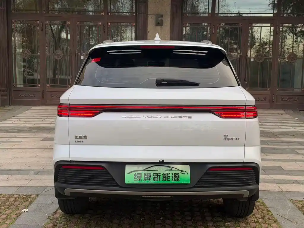 BYD Pro New Energy — фото 8