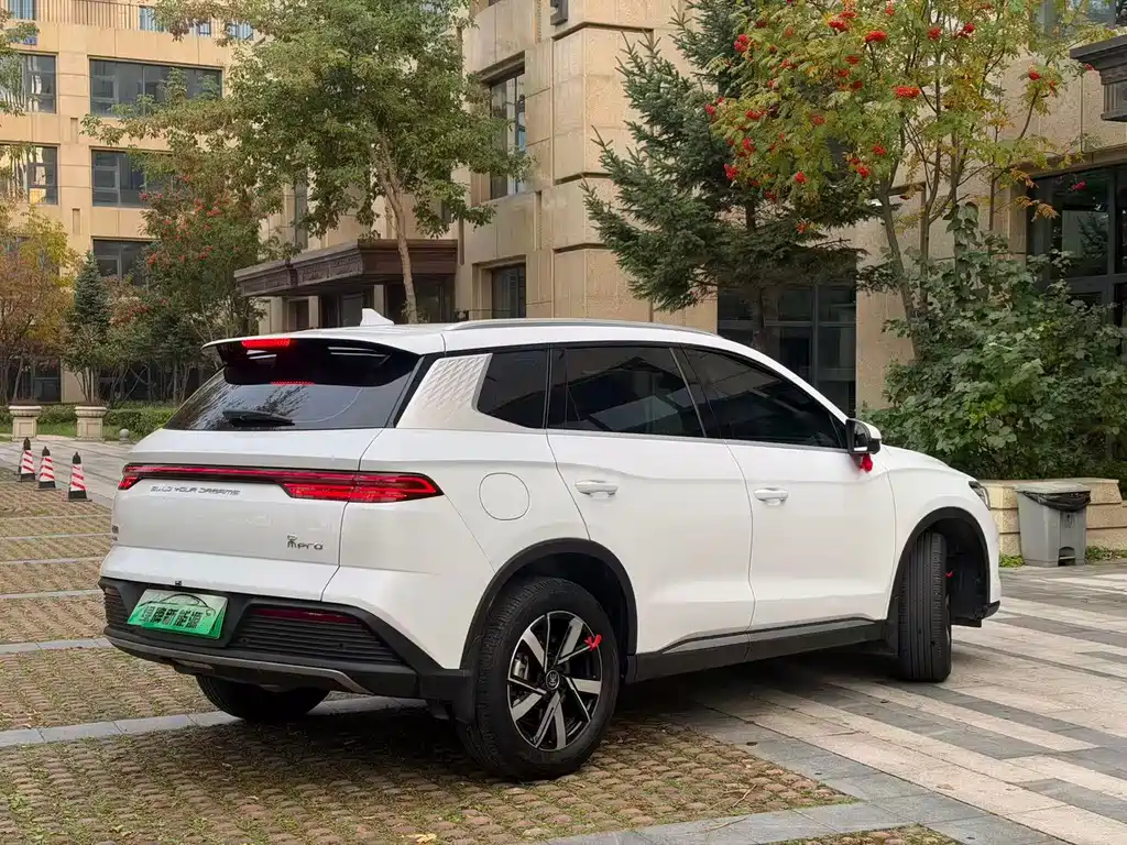 BYD Pro New Energy — фото 9