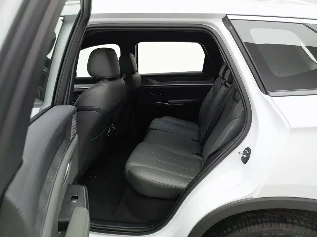BYD Pro New Energy — фото 15