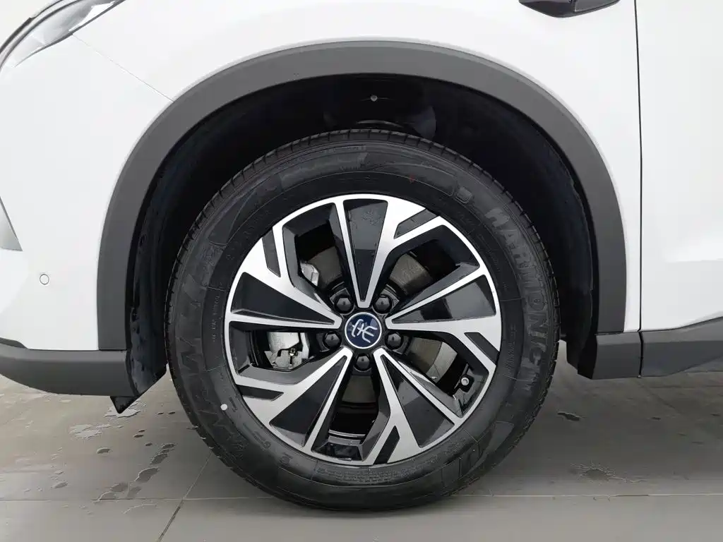 BYD Pro New Energy — фото 17