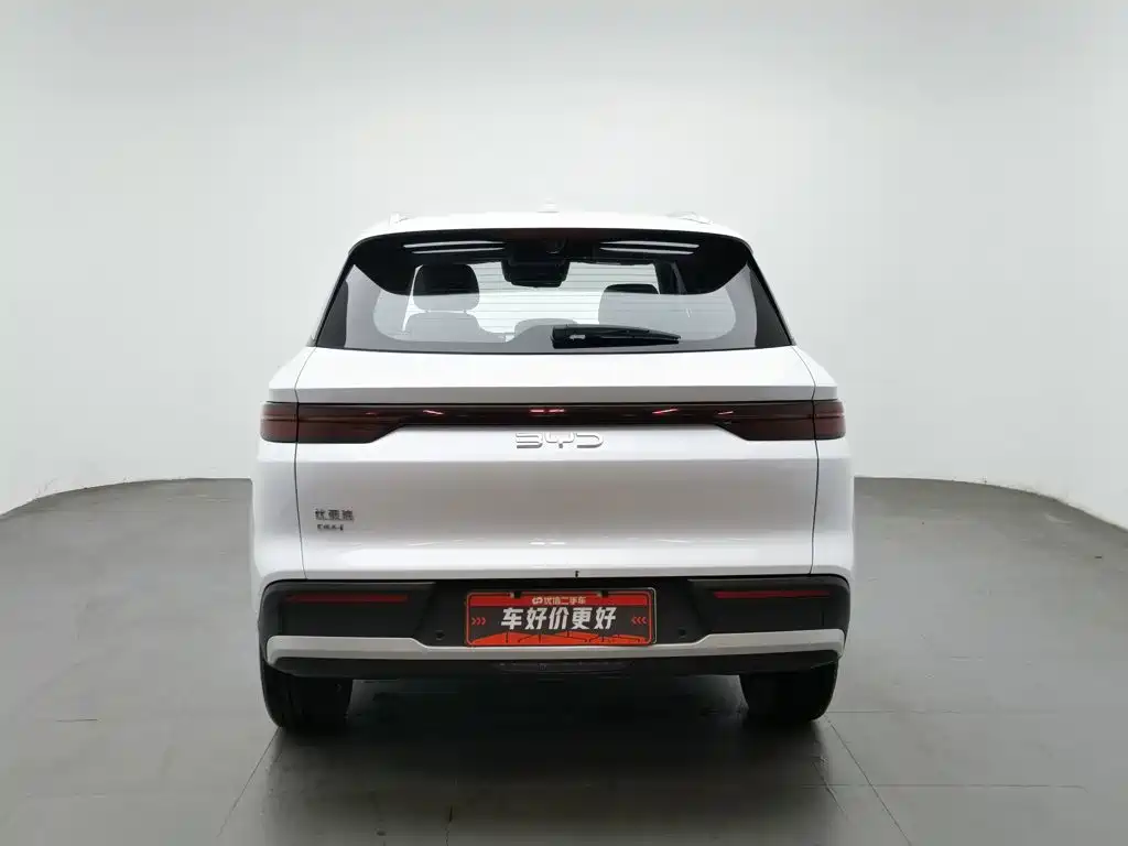 BYD Pro New Energy — фото 4