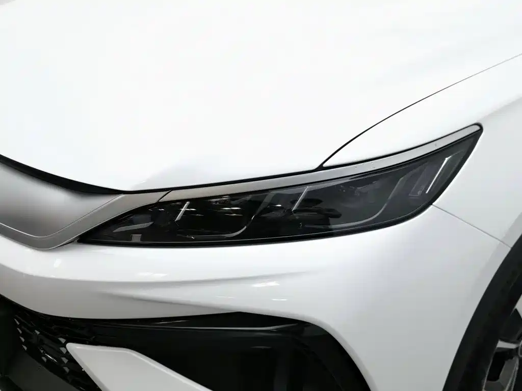 BYD Pro New Energy — фото 7