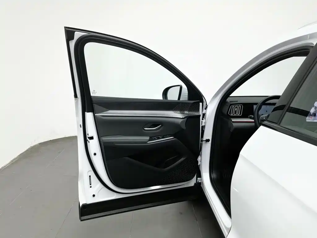 BYD Pro New Energy — фото 8