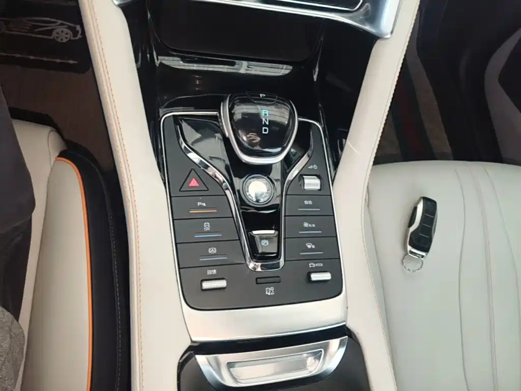 BYD PLUS New Energy — фото 14