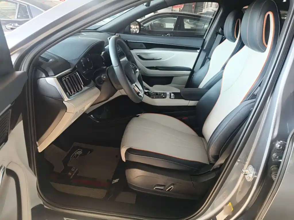 BYD PLUS New Energy — фото 15