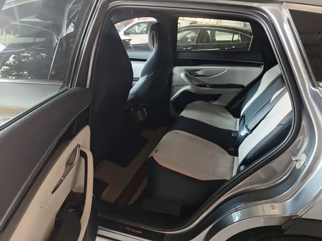 BYD PLUS New Energy — фото 17
