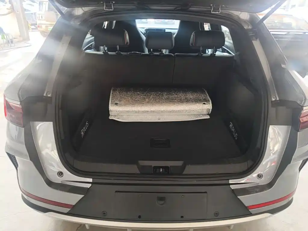 BYD PLUS New Energy — фото 19