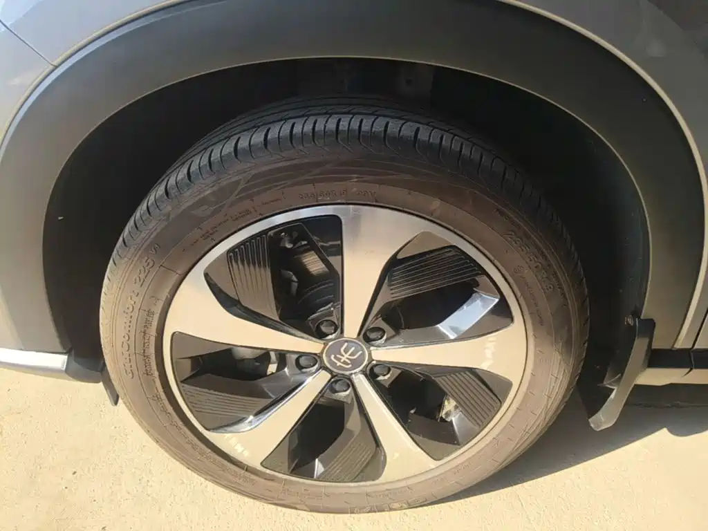 BYD PLUS New Energy — фото 23