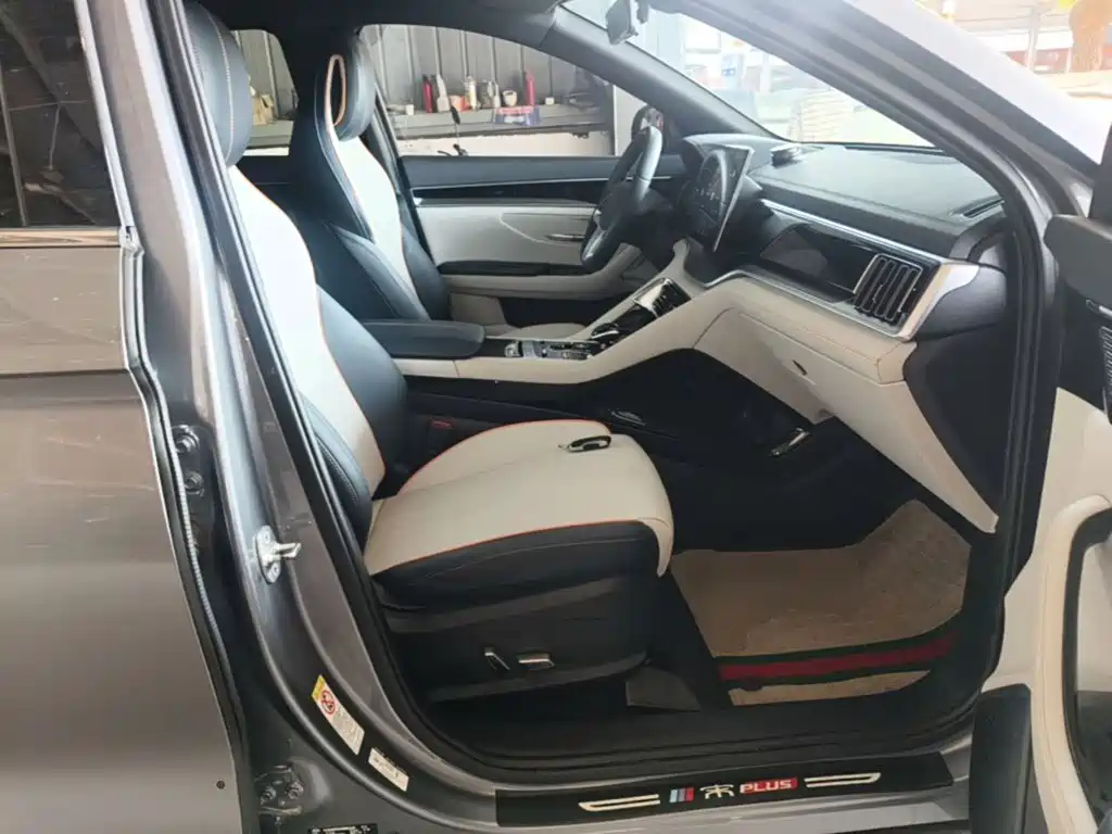 BYD PLUS New Energy — фото 25
