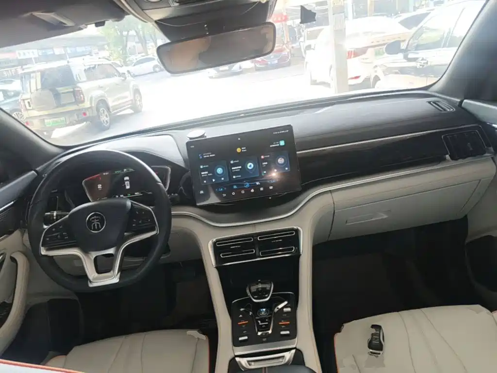 BYD PLUS New Energy — фото 10