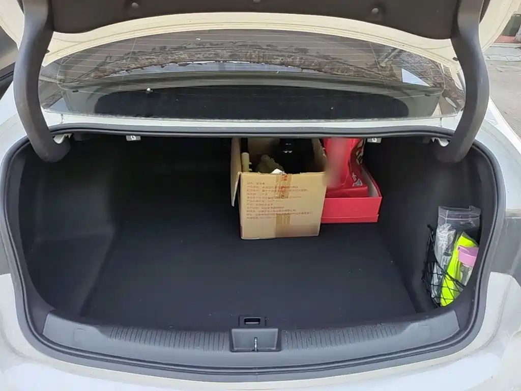 Buick Regal — фото 19