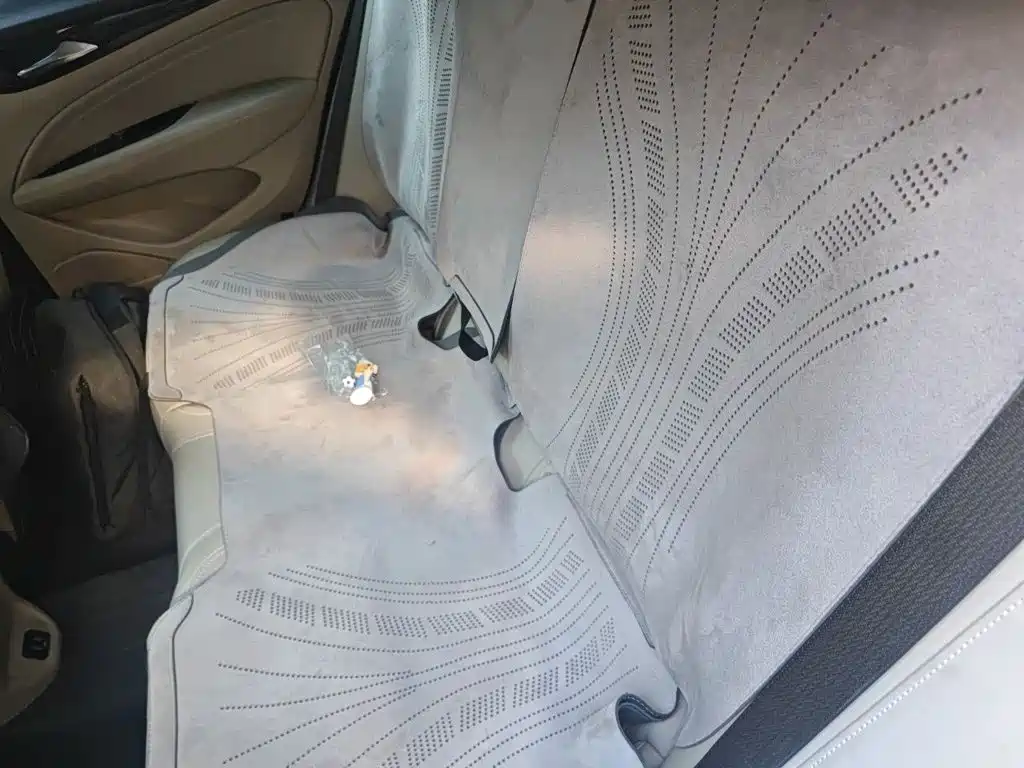 Buick Regal — фото 18