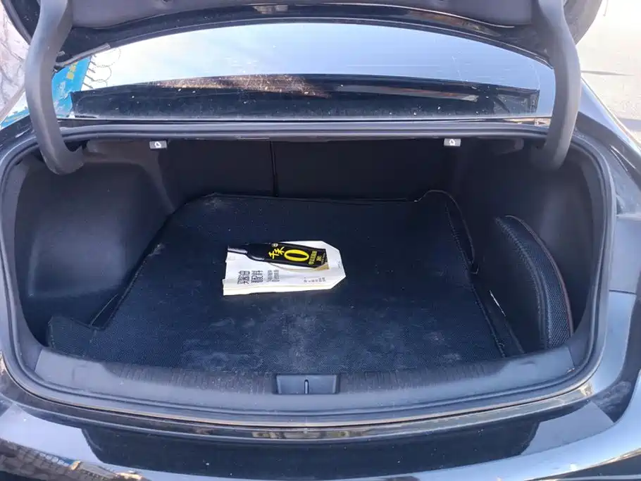 Buick Regal — фото 4