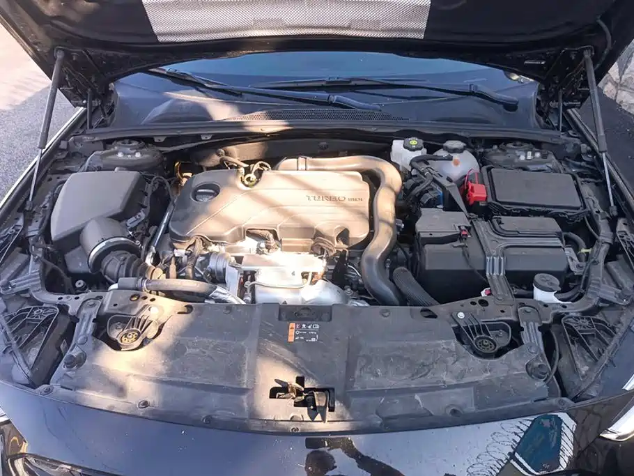 Buick Regal — фото 10