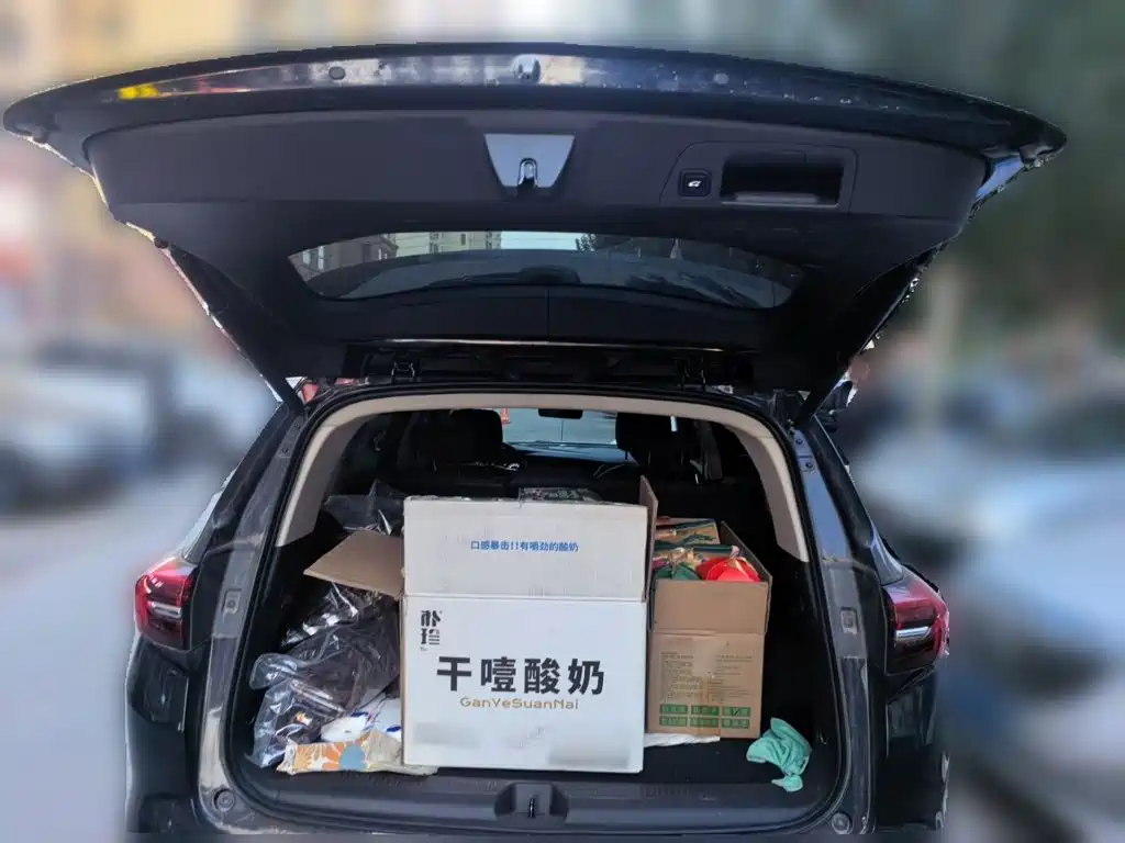 Buick Envision Plus — фото 15