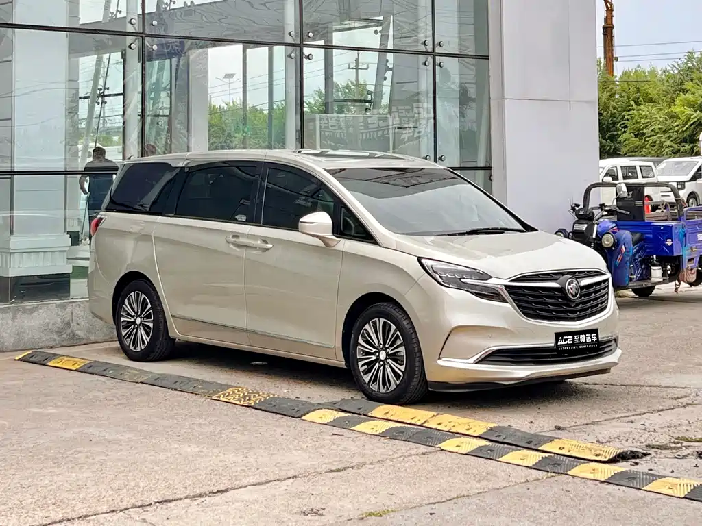 Buick GL8 — фото 3