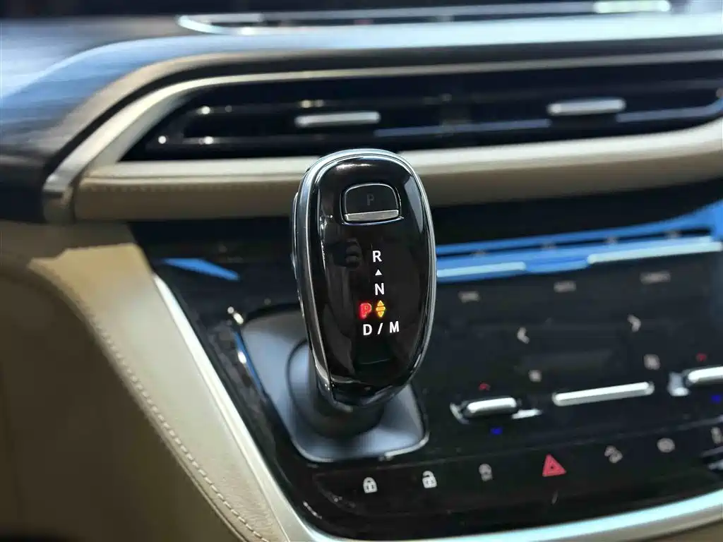 Buick GL8 — фото 19