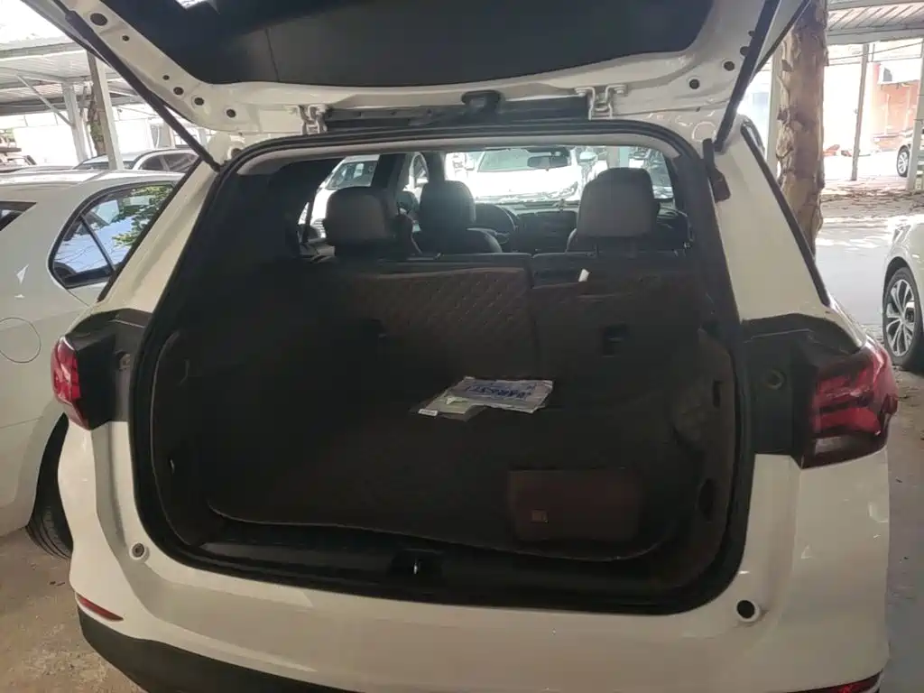 Chevrolet Equinox — фото 19