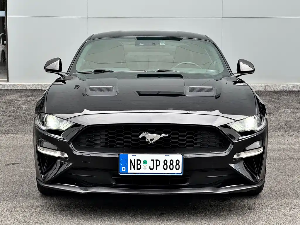 Ford Mustang — фото 2
