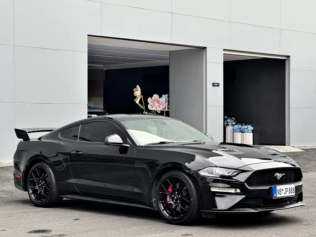 Ford Mustang — фото 13