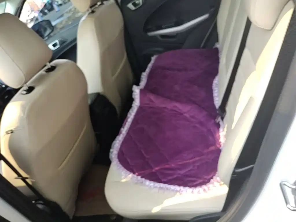 Ford Ecosport — фото 17