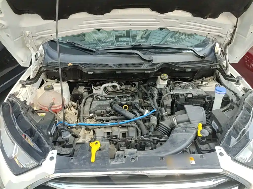Ford Ecosport — фото 20