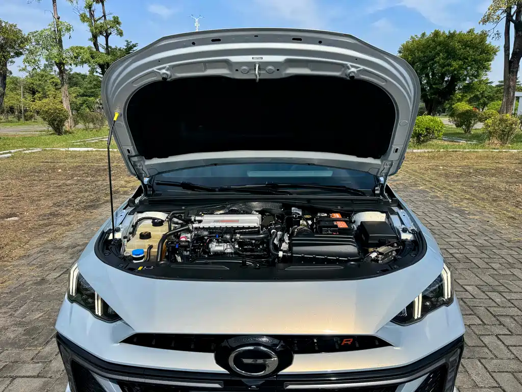 GAC Motor Shadow Leopard — фото 15