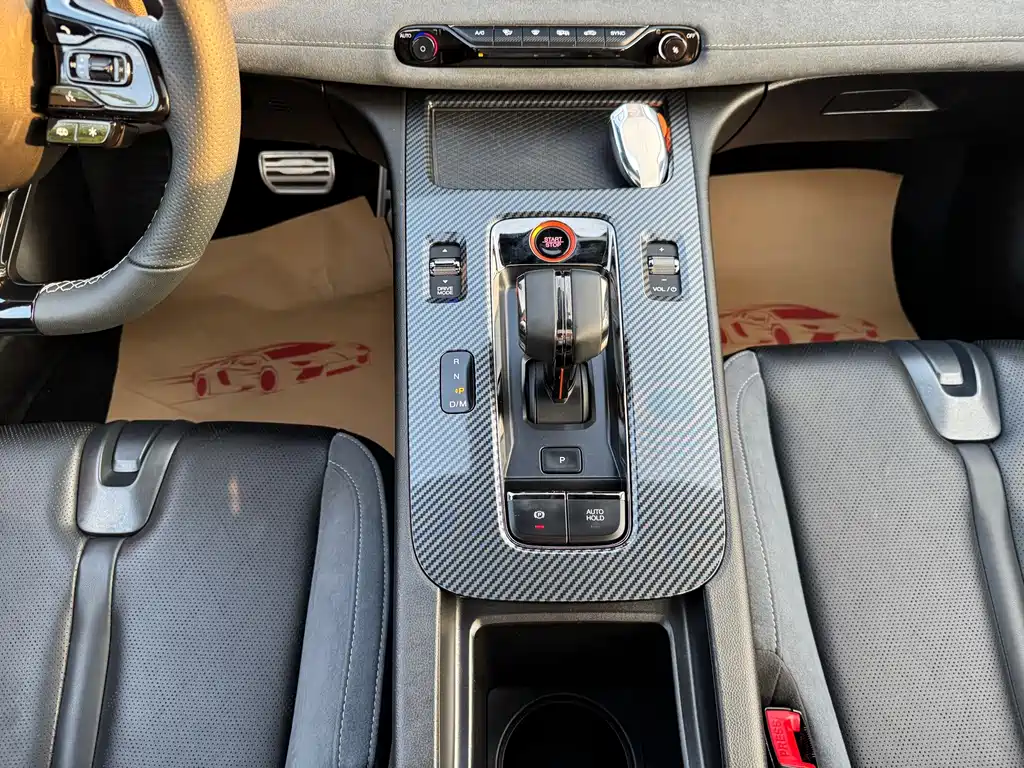 GAC Motor Shadow Leopard — фото 20