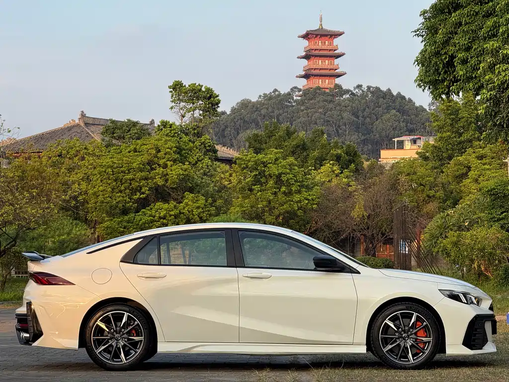 GAC Motor Shadow Leopard — фото 7