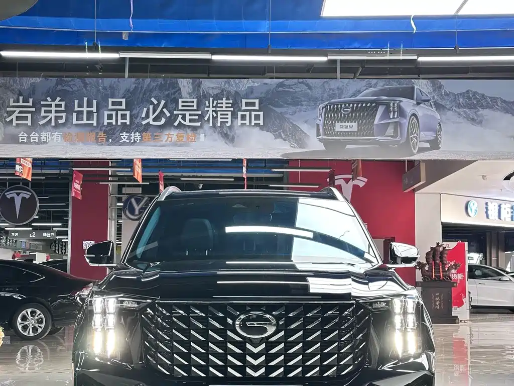 GAC Motor Trumpchi GS8 — фото 3