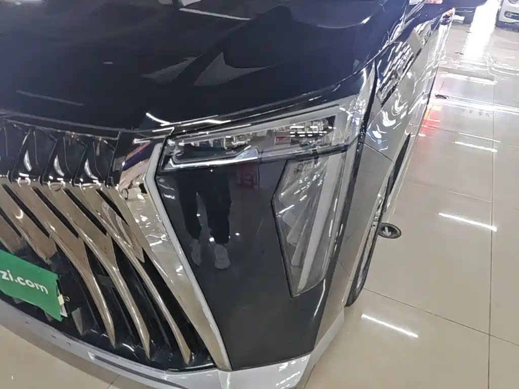 GAC Motor Trumpchi M8 — фото 24