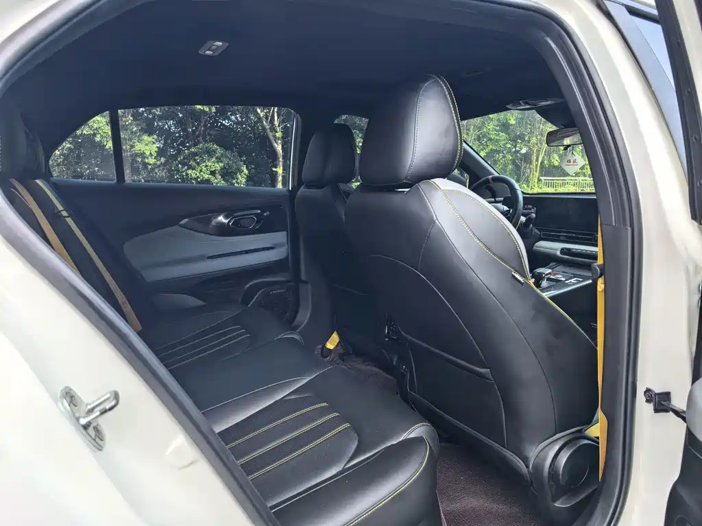 GAC Motor Shadow Leopard — фото 5