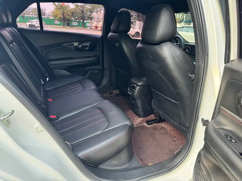 GAC Motor Shadow Leopard — фото 6