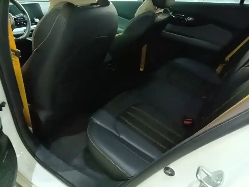 GAC Motor Shadow Leopard — фото 17