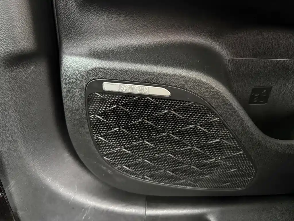 GAC Motor Shadow Leopard — фото 22