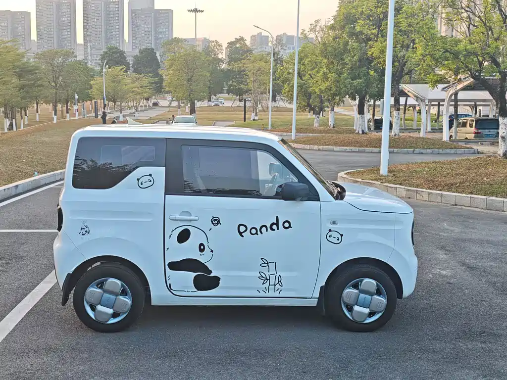 Galaxy Panda — фото 3