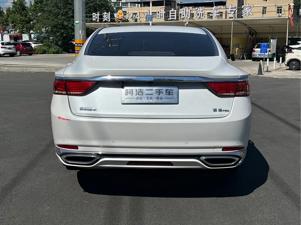 Geely Borui — фото 6