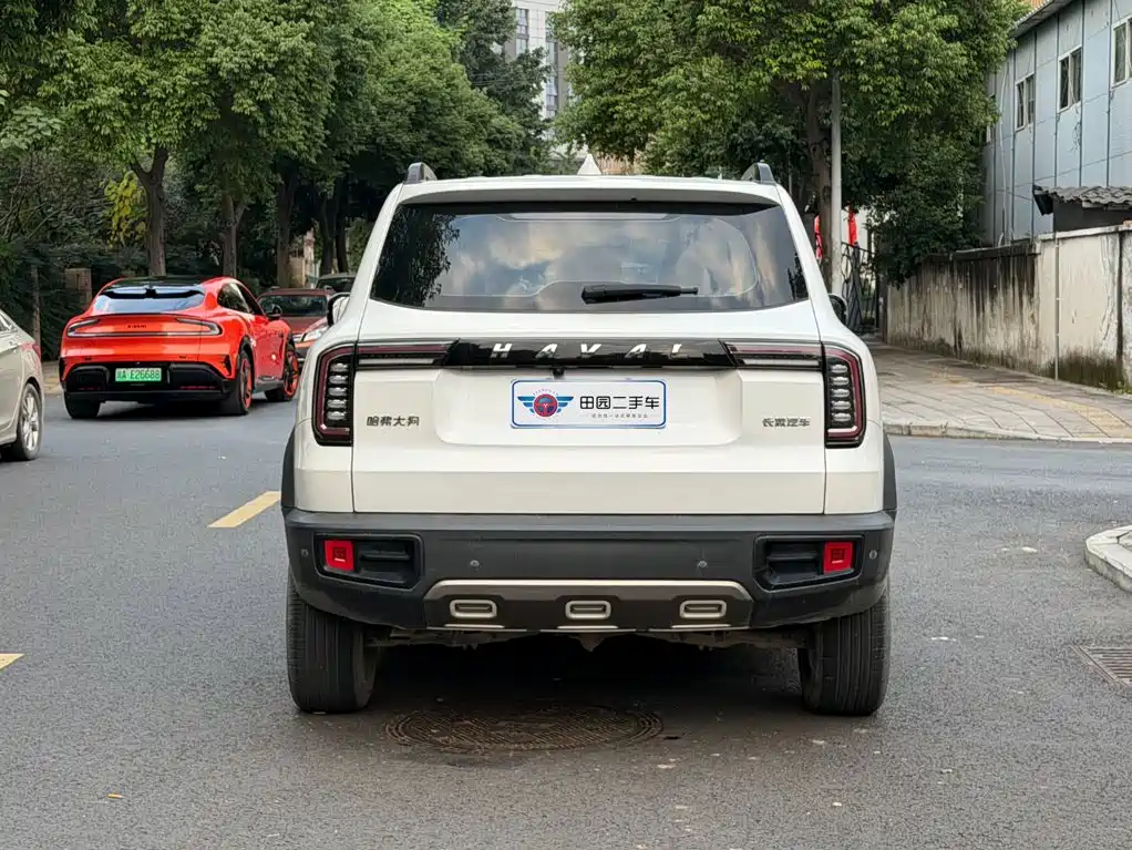 Haval Big Dog — фото 5