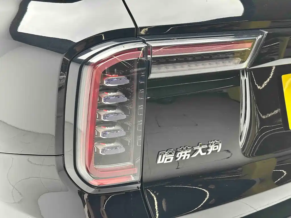 Haval Big Dog — фото 18