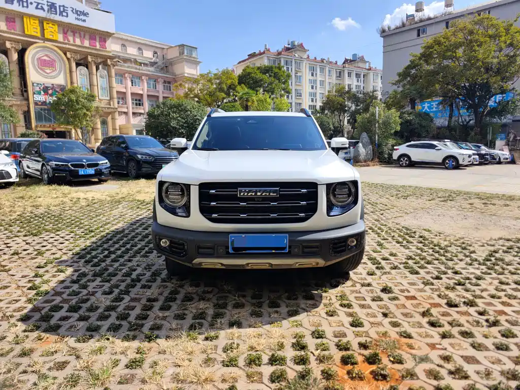 Haval Big Dog — фото 2