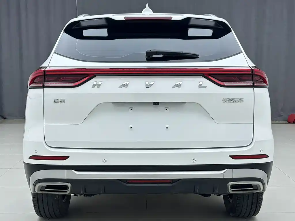 Haval H6 — фото 5