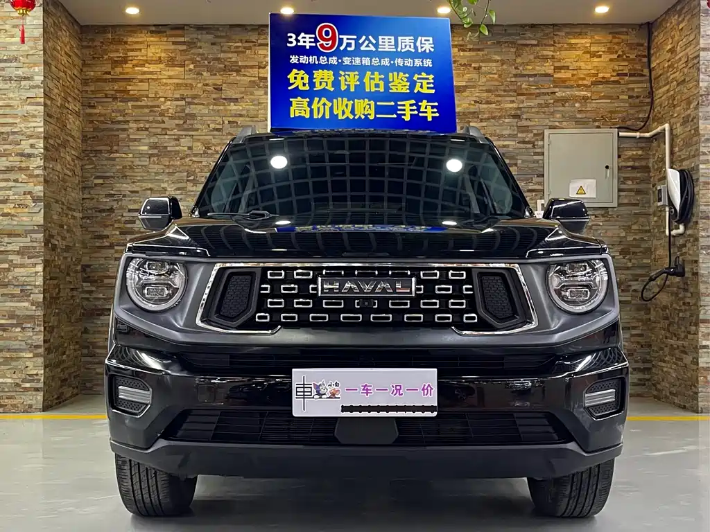 Haval Big Dog PLUS — фото 2