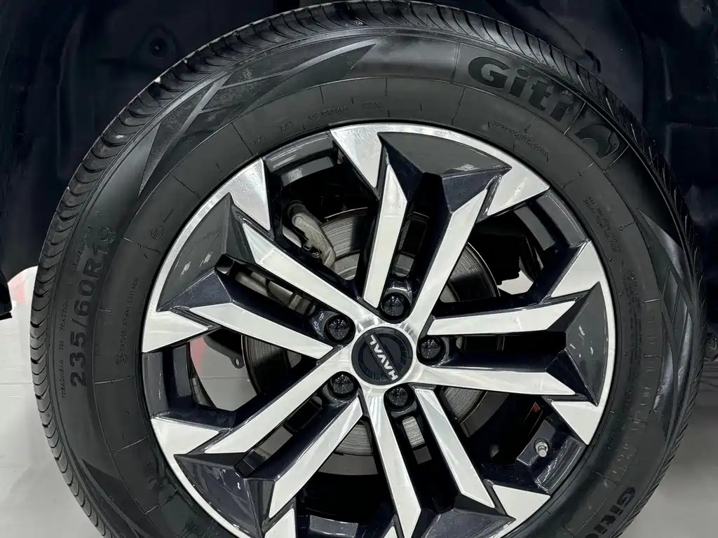 Haval Big Dog — фото 19