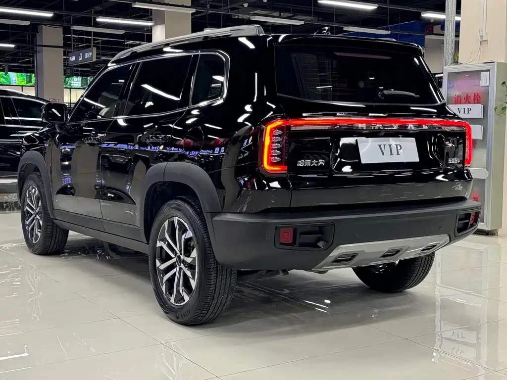 Haval Big Dog — фото 5