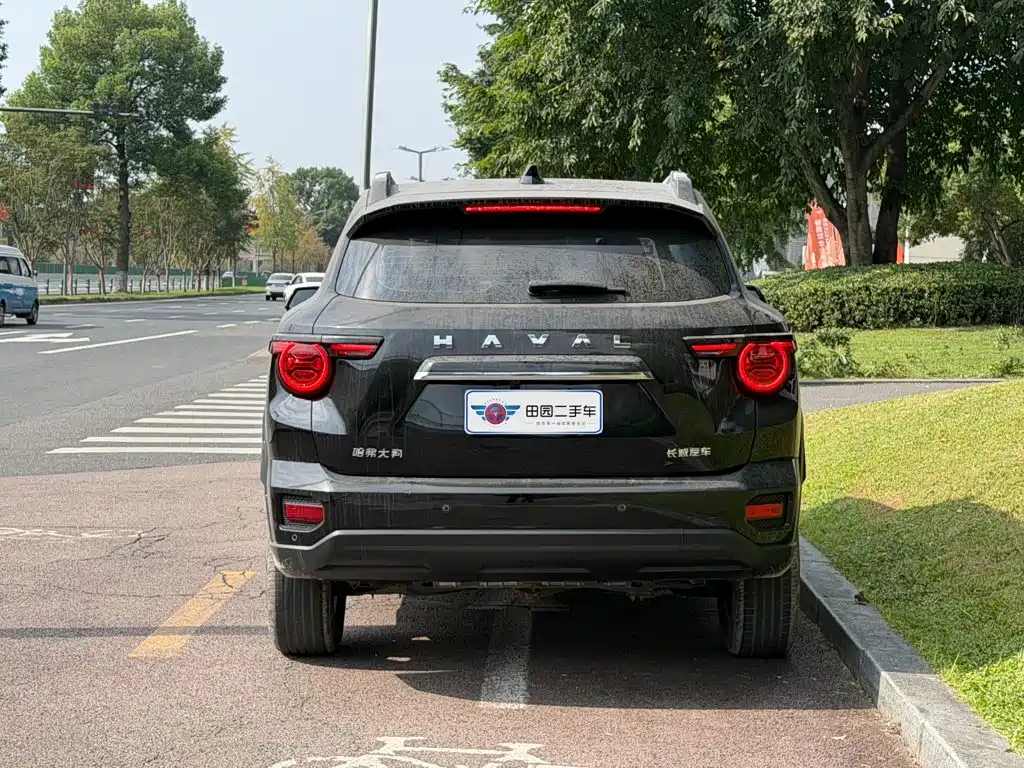 Haval Big Dog PLUS — фото 5