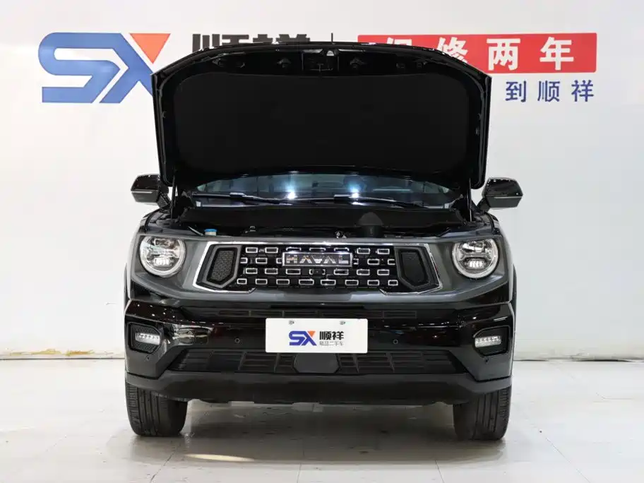 Haval Big Dog PLUS — фото 18